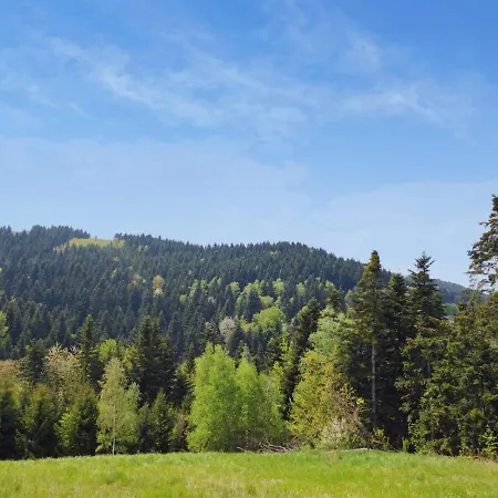 Pauza-limanowa Villa *